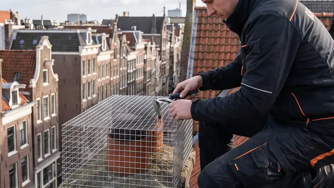 Vogelwering op appartementencomplex in Rotterdam